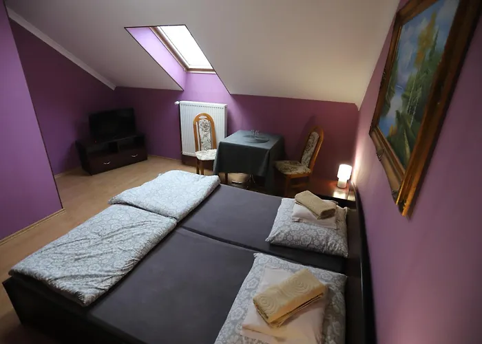 Han/Misafirhane Adampol